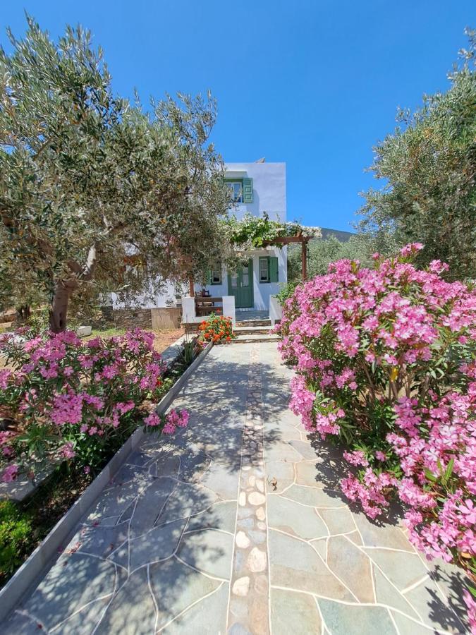 Ferienwohnung Madilides Platis Gialos  Exterior foto